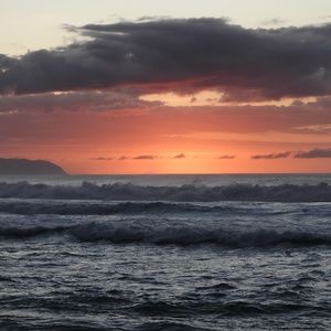 Meet your Posher, Don